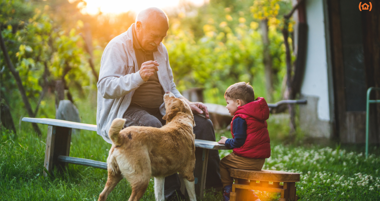 En este artículo os expondremos todos los beneficios que conlleva tener una mascota en la tercera edad.