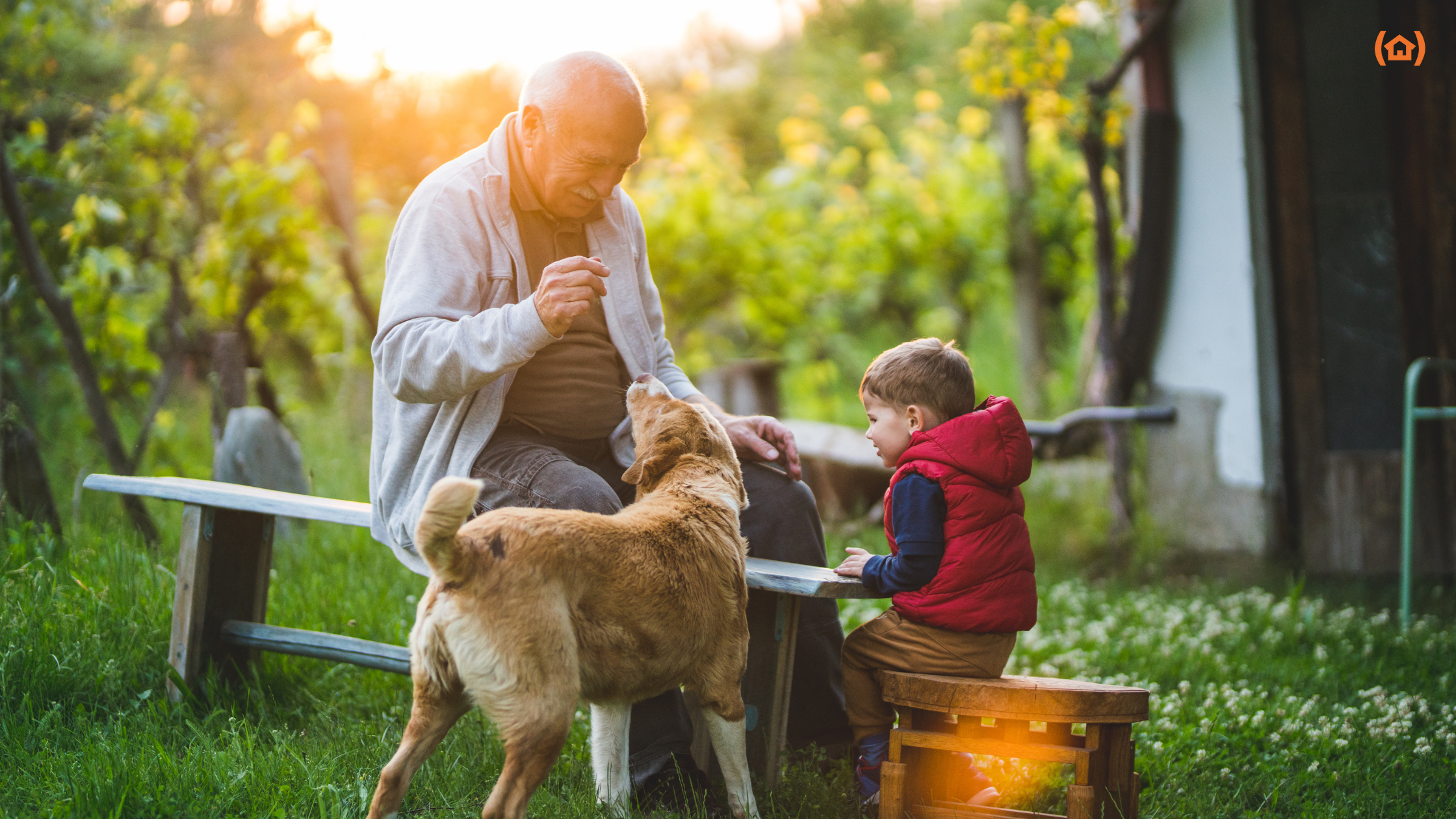 ¿Sabes cuáles son los beneficios de tener una mascota en la tercera edad?
